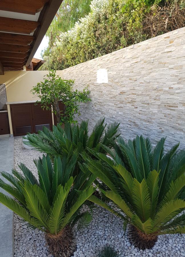 B&B Aloe Comfort Rooms Σαν Βίτο λο Κάπο Εξωτερικό φωτογραφία