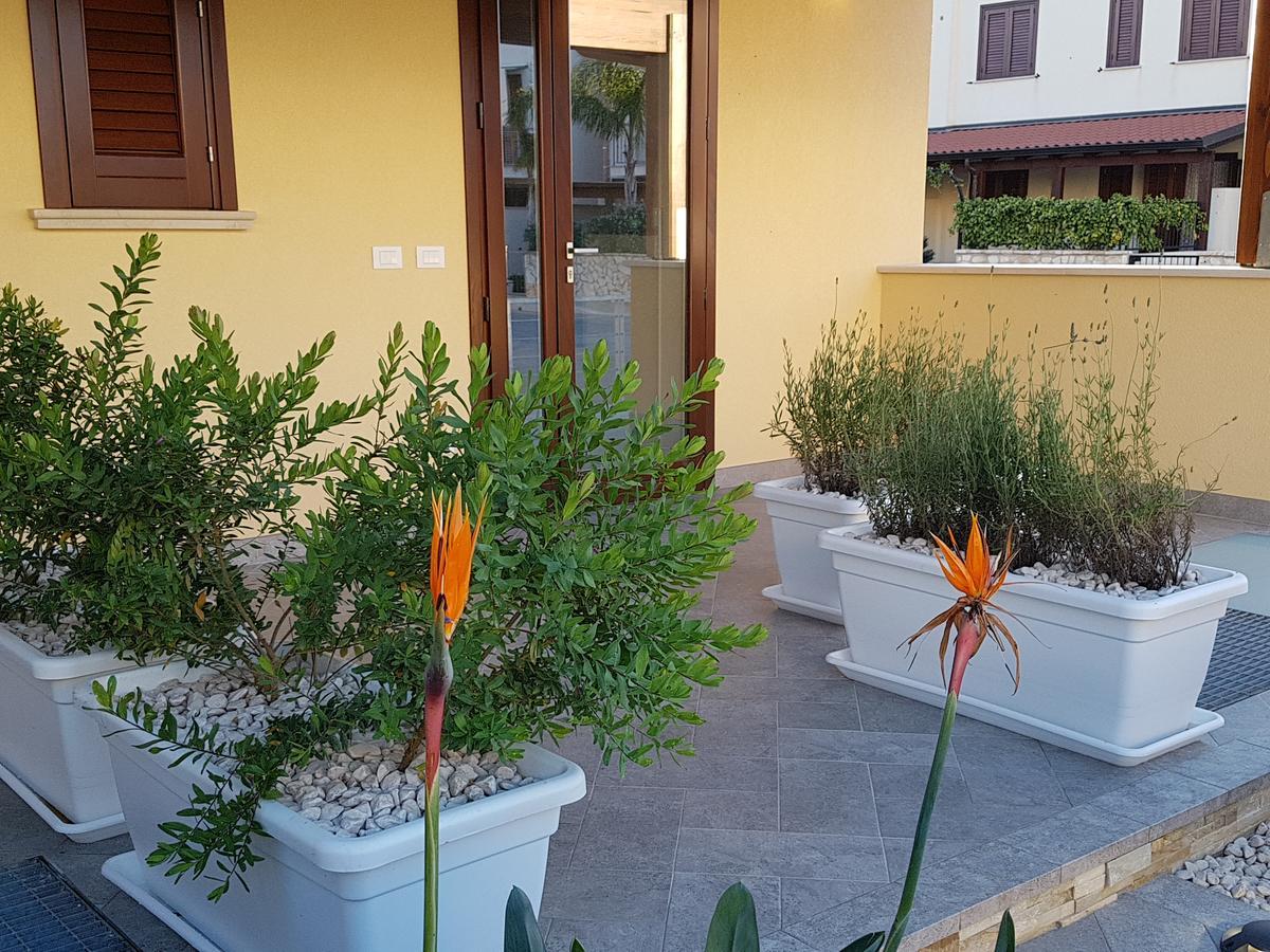 B&B Aloe Comfort Rooms Σαν Βίτο λο Κάπο Εξωτερικό φωτογραφία