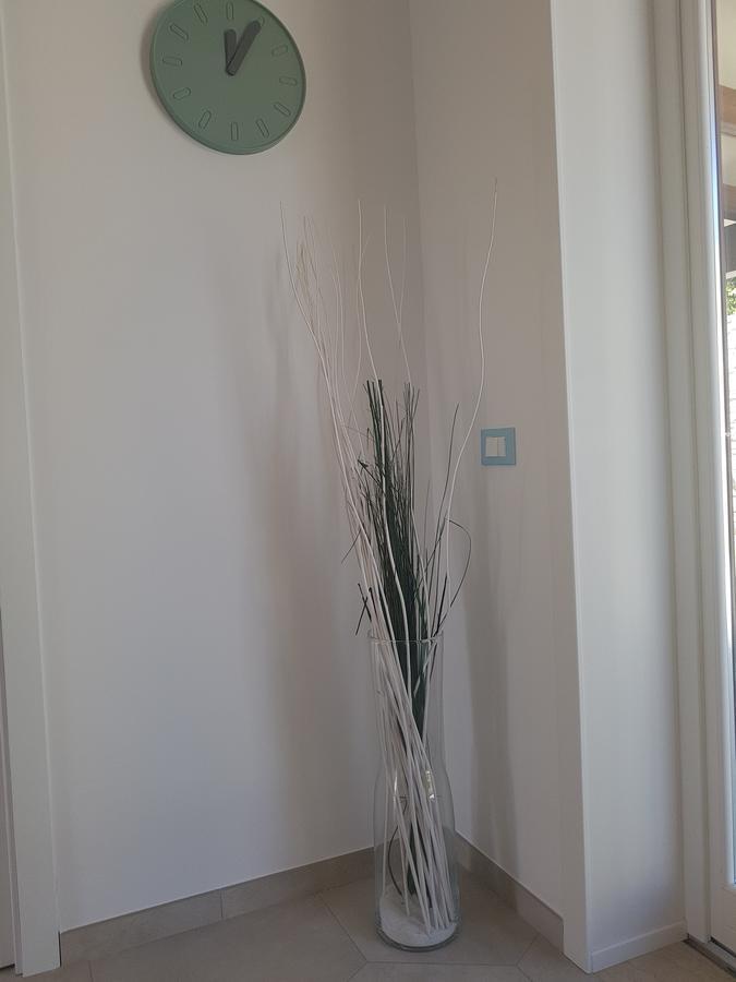 B&B Aloe Comfort Rooms Σαν Βίτο λο Κάπο Εξωτερικό φωτογραφία